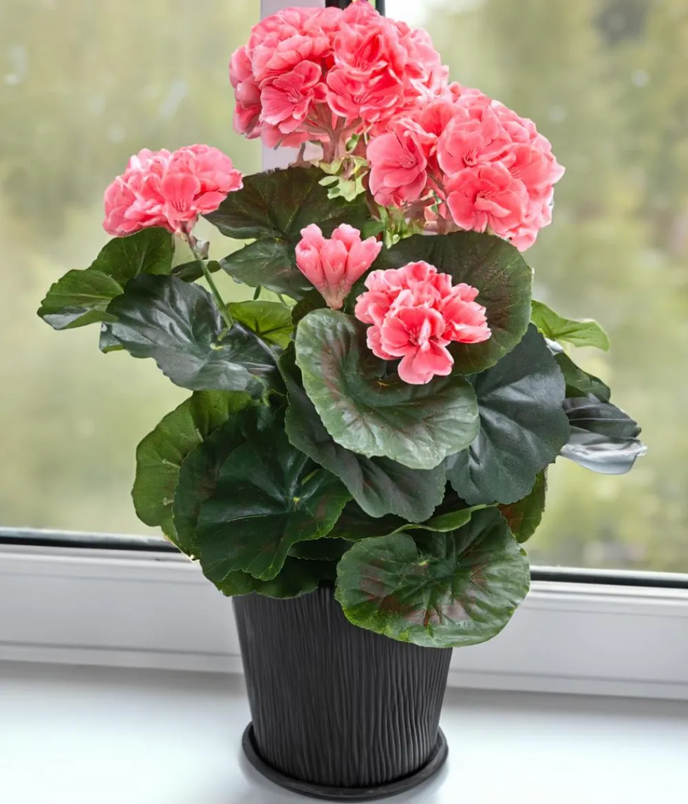 Flower Manufaktur Kunstpflanze Geranie, ca. H33 cm Apricot Clearance