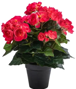 Flower Manufaktur Kunstpflanze Begonie, ca. H33 cm Rosa Best
