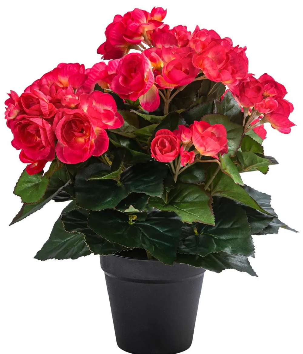 Flower Manufaktur Kunstpflanze Begonie, ca. H33 cm Rosa Best
