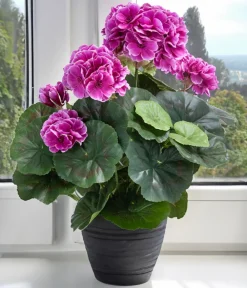 Kunstpflanzen - Flower Manufaktur Kunstpflanze Geranie, ca. H33 cm Lila