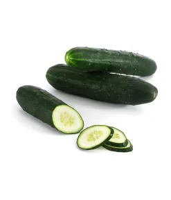 Dehner Zucchini- & Gurkenpflanzen > Freilandgurke