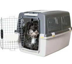 Trixie Hundetransportboxen - Friends on Tour Transportbox Gulliver Gr. 5