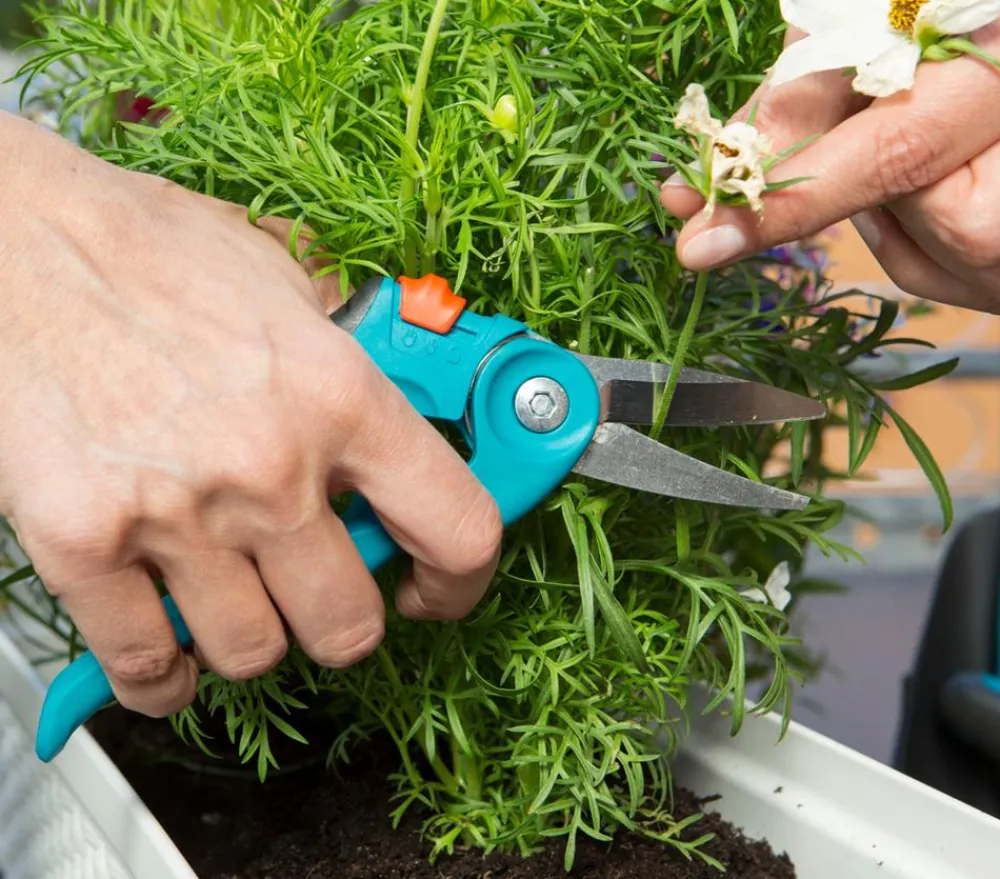 Gardena Heckenschere & Gartenschere - City Gardening Balkonschere