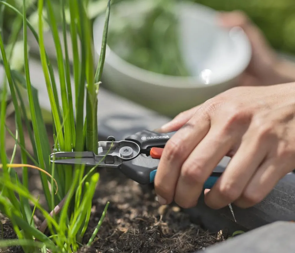 Gardena Heckenschere & Gartenschere > Ernteschere GripCut