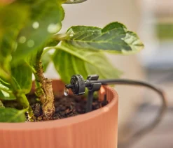 Gardena Gartenschläuche & Zubehör > Micro-Drip-System Endtropfer 2 l/h, druckregulierend, 10 Stk.