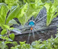 Gardena Bewässerungssysteme & Pumpen - Micro-Drip-System 6-Flächen-Sprühdüse, 2 Stk.