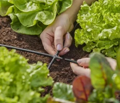 Gardena Micro-Drip-System Kreuzstück, 3/16" Anthrazit Sale