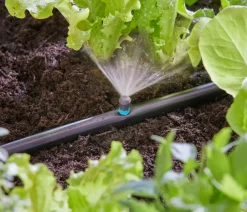 Gardena Micro-Drip-System Sprühdüse 90 Grad, 5 Stk. Discount