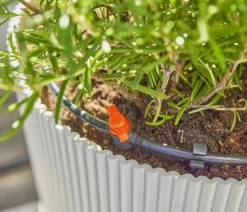 Gardena Bewässerungssysteme & Pumpen > Micro-Drip-System Starter-Set für Terrassen