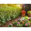 Gardena Micro-Drip-System Start-Set Pflanzreihe S Outlet