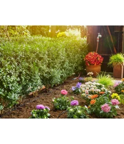 Gardena Micro-Drip-System Start-Set Pflanzreihe S Outlet