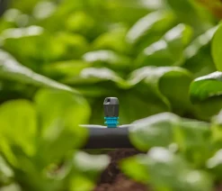 Gardena Gartenschläuche & Zubehör - Micro-Drip-System Streifendüse, 5 Stk.