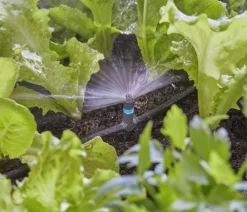 Gardena Bewässerungssysteme & Pumpen - Micro-Drip-System T-Stück für Sprühdüsen, 1/2", 5 Stk. Anthrazit