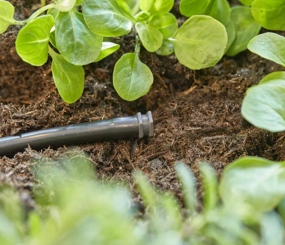 Gardena Micro-Drip-System Verschlussstopfen, 3/16", 10 Stk. Anthrazit Clearance