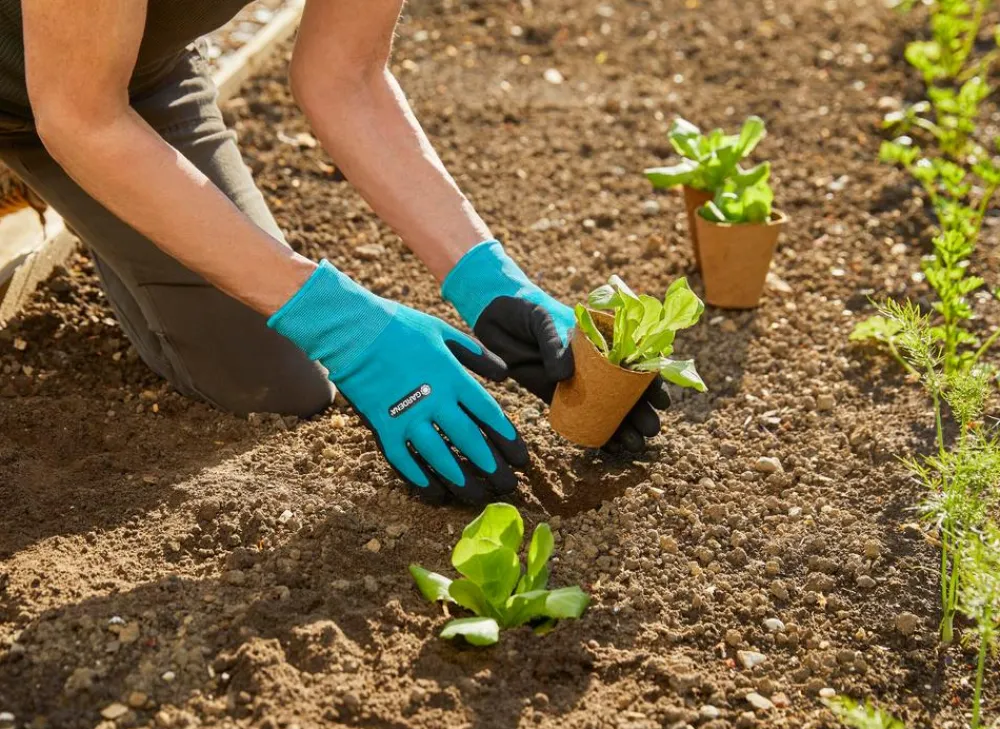 Gardena Blumenzwiebel Zubehör|Gartenhandschuhe > Pflanz- und Bodenhandschuh