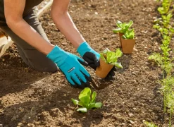 Gardena Pflanz- und Bodenhandschuh Türkis Outlet