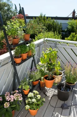 Gardena Urlaubsbewässerung City Gardening Schwarz Hot