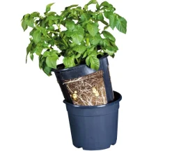 Gardenlife Anzucht Zubehör - Potato Pot, , ca. Ø30/H27 cm Schwarz