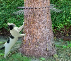 Gardigo Schädlingsbekämpfungsmittel > Katzen-Abwehrgürtel, 74 cm