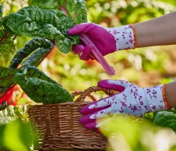 Gebol Handschuh Flower Duo, 2 Paar Online