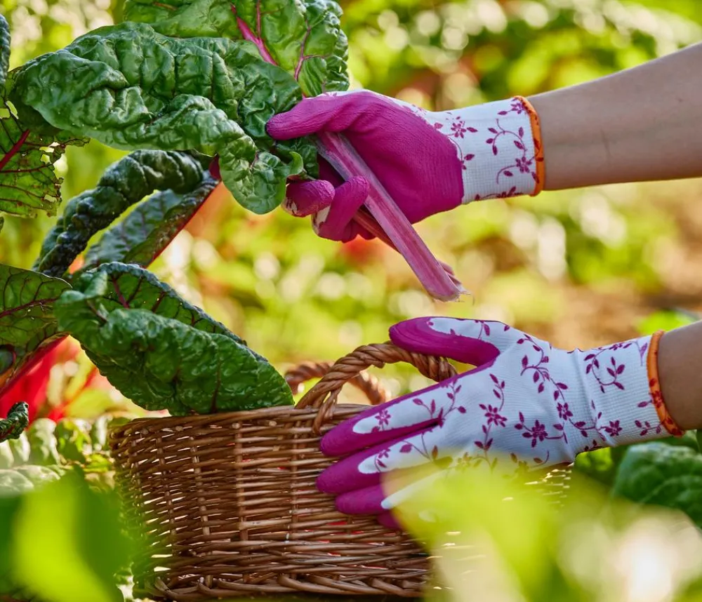 Gebol Gartenhandschuhe - Handschuh Flower Duo, 2 Paar