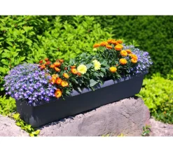 Geli Kunststoff-Blumenkasten Aqua Andalucia Orange Online