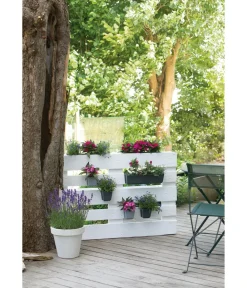 Geli Pflanzkübel & Blumenkästen|Blumentöpfe & Übertöpfe - Kunststoff-Pflanzkasten Easy, rechteckig, ca. B37/H9,5/T10 cm Schwarz