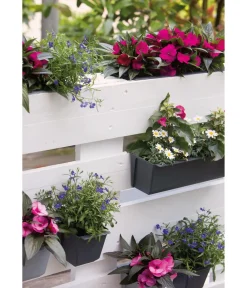 Geli Pflanzkübel & Blumenkästen|Blumentöpfe & Übertöpfe - Kunststoff-Pflanzkasten Easy, rechteckig, ca. B37/H9,5/T10 cm Schwarz