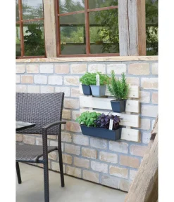 Geli Pflanzkübel & Blumenkästen|Blumentöpfe & Übertöpfe - Kunststoff-Pflanzkasten Easy, rechteckig, ca. B37/H9,5/T10 cm Schwarz
