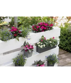 Geli Pflanzkübel & Blumenkästen|Blumentöpfe & Übertöpfe - Kunststoff-Pflanzkasten Easy, rechteckig, ca. B37/H9,5/T10 cm Schwarz