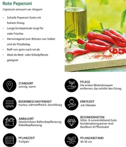 Dehner Gemüse-Set Schärfetest, 6-teilig Best