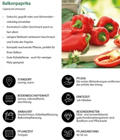 Dehner Gemüse-Set Snackgemüse für den Balkon, 6-teilig Sale