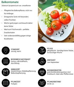 Dehner Gemüse-Set Snackgemüse für den Balkon, 6-teilig Sale