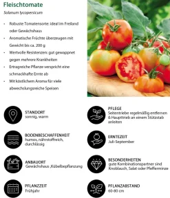 Dehner Auberginen- & Tomatenpflanzen|Gemüse-Sets - Gemüse-Set Tomatengenuss, 6-teilig Rot