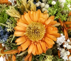 Dehner Trockenblumen - Gesteck Trockenblumen,