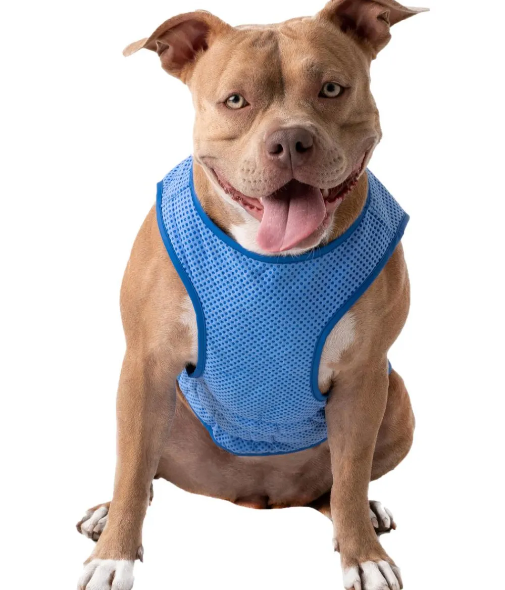 GF PET® Mehr Hundezubehör|Mehr Transport & Unterwegs - Eatofit® Hundekühwete Blau