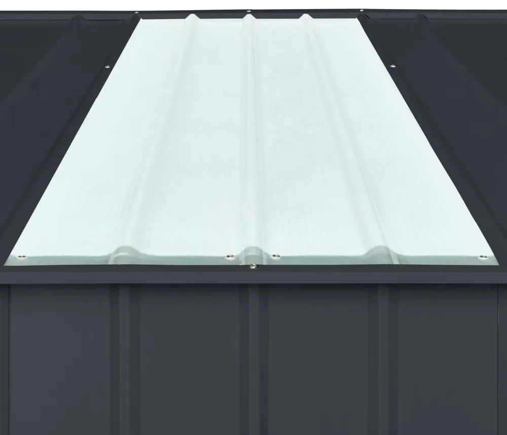 Globel Fenster & Türen - Dachpaneel Skylight Transparent