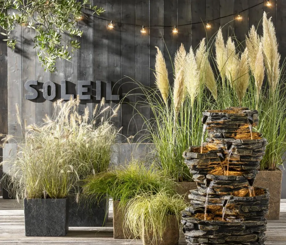 Dehner Gold-Segge 'Evergold' Outlet