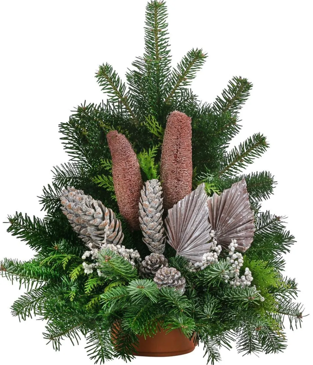 Dehner Grabschmuck & Grabgestaltung - Grabgesteck aus Nordmann-Tanne, , ca. B60/H55/T35 cm Braun