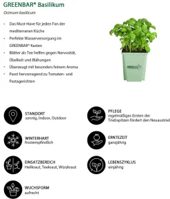 GREENBAR ® Greenbar-Kräuter|Küchenkräuter > GREENBAR® Basilikum