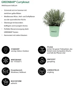 GREENBAR ® Garten- & Heilkräuter|Kräuter-Sets - GREENBAR® Exoten-Set, 6-teilig Grün