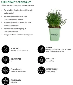 GREENBAR ® Garten- & Heilkräuter|Kräuter-Sets > GREENBAR® Küchenkräuter-Set, 6-teilig