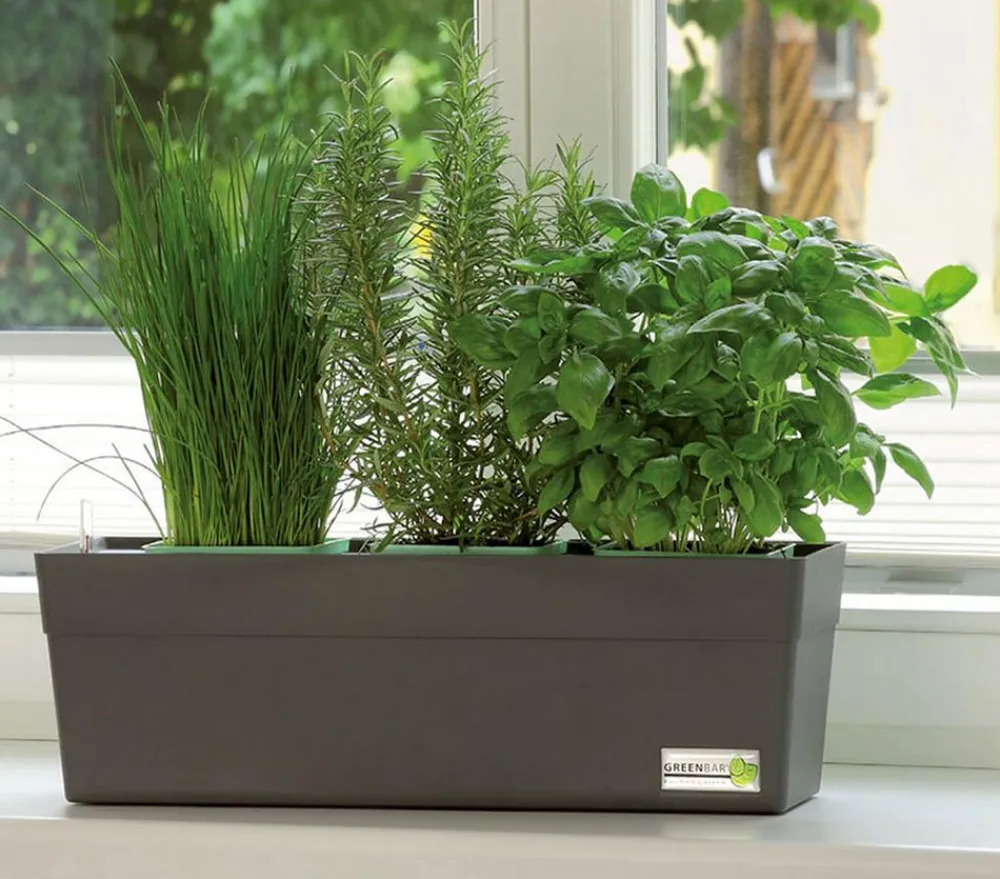 GREENBAR ® Kräuter-Sets|Greenbar-Kräuter > GREENBAR® Kräuterkasten, ca. B48/H15,5/T16 cm