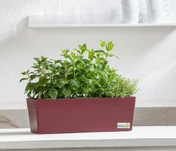 GREENBAR ® GREENBAR® Kräuterkasten, ca. B48/H15,5/T16 cm Dunkelrot Outlet