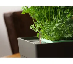 GREENBAR ® Kräuter-Sets|Greenbar-Kräuter - GREENBAR® Kräuterkasten, ca. B48/H15,5/T16 cm Weiß