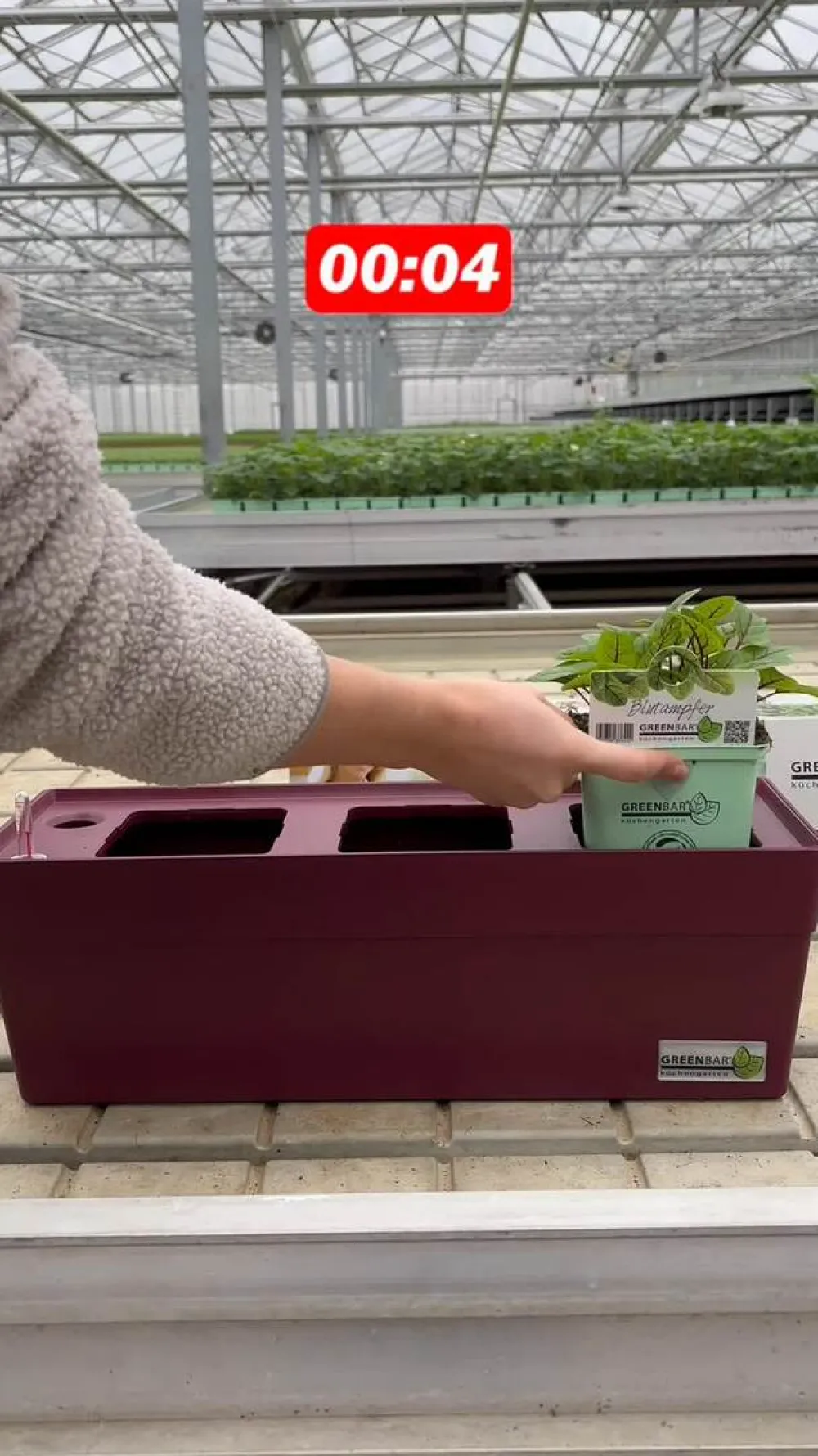 GREENBAR ® Kräuter-Sets|Greenbar-Kräuter - GREENBAR® Kräuterkasten, ca. B48/H15,5/T16 cm Hellbraun