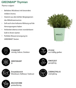 GREENBAR ® Garten- & Heilkräuter|Kräuter-Sets > GREENBAR® Kräuter-Set Französische Küche, 6-teilig