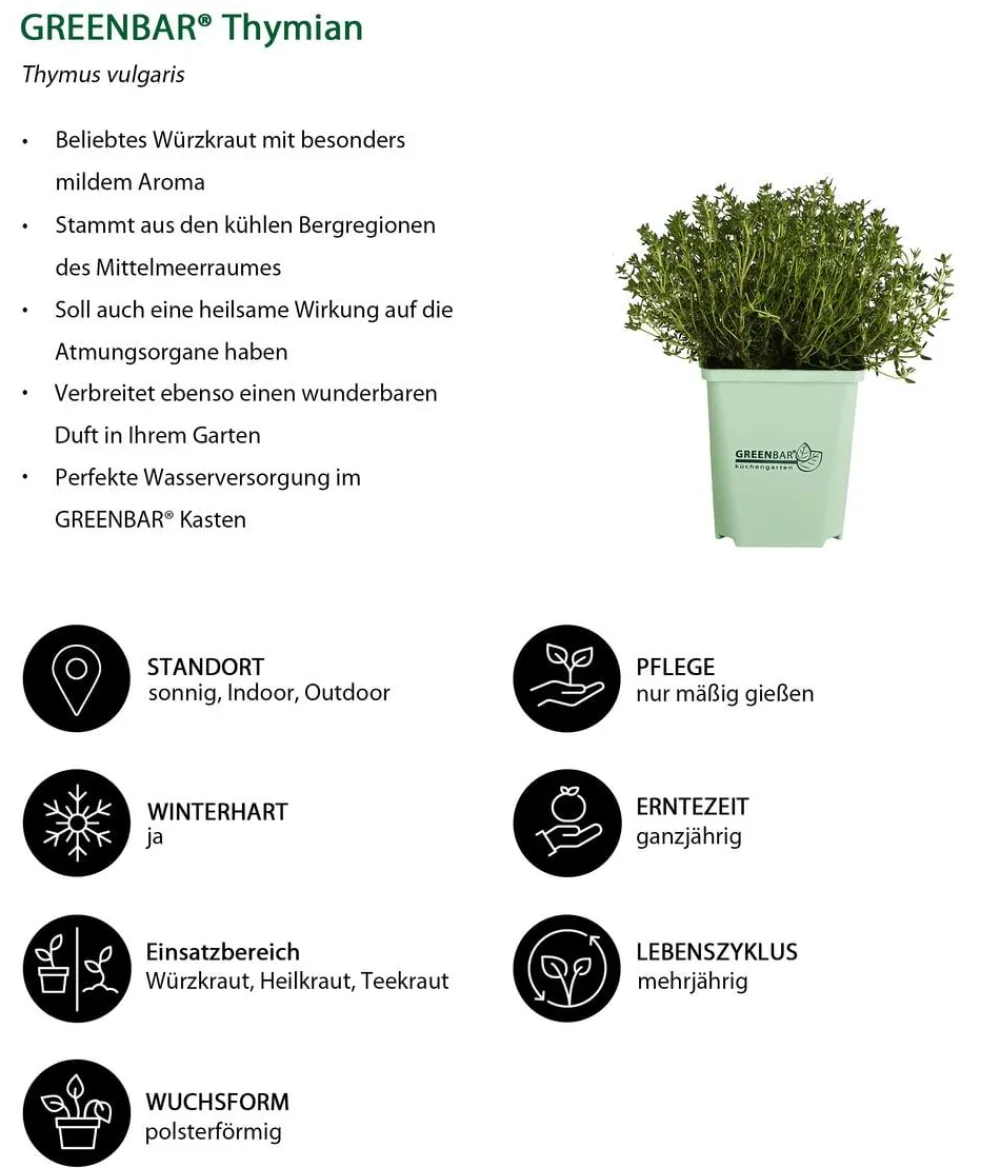 GREENBAR ® Garten- & Heilkräuter|Kräuter-Sets > GREENBAR® Kräuter-Set Französische Küche, 6-teilig