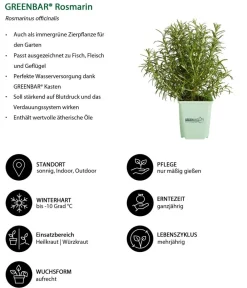 GREENBAR ® Garten- & Heilkräuter|Kräuter-Sets - GREENBAR® Kräuter-Set Vielfalt, 9-teilig Grün