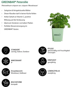 GREENBAR ® Garten- & Heilkräuter|Kräuter-Sets - GREENBAR® Kräuter-Set Vielfalt, 9-teilig Grün